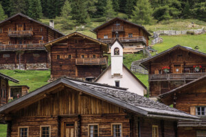 F_2310_Wallno_fer2_c_pixabay_web