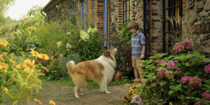 LASSIE_EIN_NEUES_ABENTEUER_Szenenbilder_30_A4_web