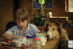 LASSIE_EIN_NEUES_ABENTEUER_Szenenbilder_26_A4_web