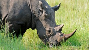 Pichler_Afrika-07_web