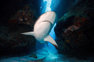 haihoehle_c_hettich_web