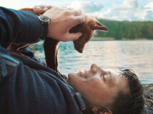 Der_Fuchs_plakatsujet_cGeissendoerfer_Pictures_GmbH_Lotus_Film_GmbH_Kamera_Yoshi_Heimrath_Paul_Sprinz_web_2