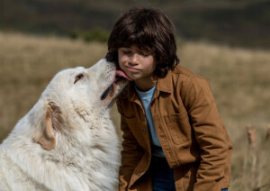 belleundsebastian_sommervollerabenteuer03_web