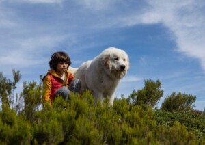 belleundsebastian_sommervollerabenteuer06_web