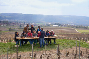 WeinprobeFrAnfnger_011_A4_web