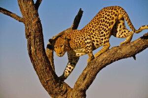 Fotoby-Sbampato-12_web