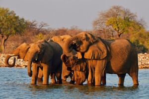 Fotoby-Sbampato-10_web