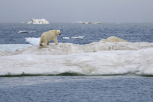 Fotoby-Seenomaden-10_web