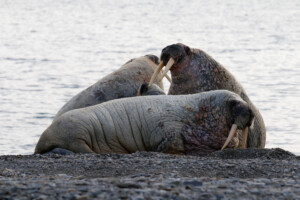 Fotoby-Seenomaden-07_web