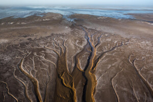 mcbride_coriverdelta_140327_08878740-large_web