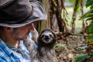 williunddiewunderkroete19_web