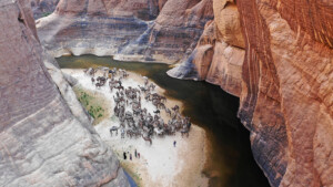 Fotoby-Pichler09_web