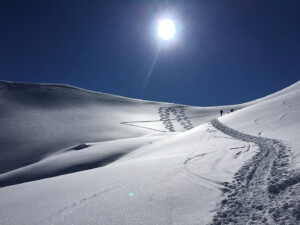 Fotoby-Naturfreunde-02_web