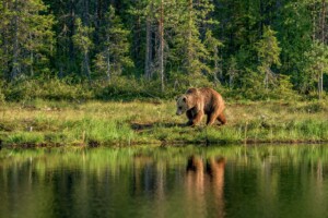 Fotoby-Zwerger-Schoner02_web