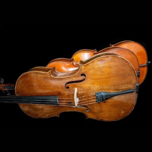 cello2_cello_c_elfiskulturkoffer