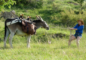 meinliebhaberdereselundich07_web