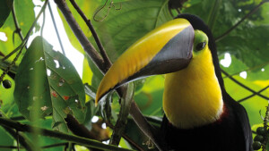 Fotoby-Pichler-16_web