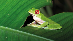 Fotoby-Pichler-11_web1