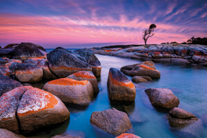 Fotoby-Bleyer-07_web