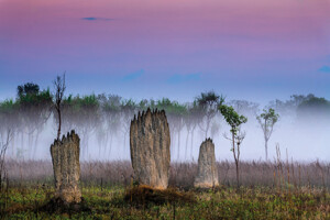 Fotoby-Bleyer-01_web