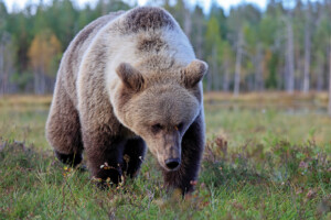 Fotoby-Roemmelt-14_web