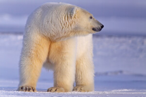 Fotoby-Roemmelt-07_web