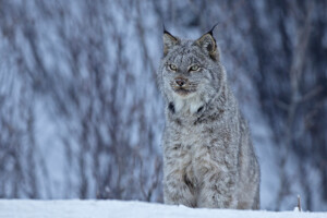 Fotoby-Roemmelt-08_web