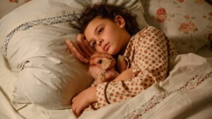 als_hitler_das_rosa_kaninchen_stahl_still