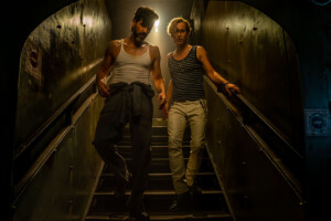NY-08016_web