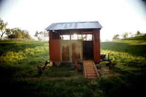 UnsereGrosseKleineFarm_Filmstill_07_A4_web