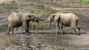 Fotoby-Pichler-10_web