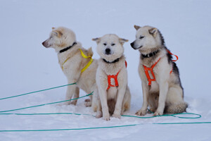 Fotoby-Thurner-05_web