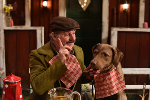 Pettersson_Findus_zieht_um_Web_5