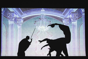 Mozartwoche_2019_Oval_MozartsAmazingShadows_c_Wolfgang_Lienbacher_210_web