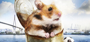 csm_Rettet_Raffi_d45db622c2