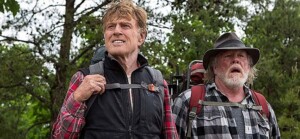 csm_Picknick_mit_Baeren_1_95e19ad7fb