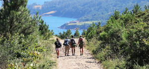 csm_Camino_de_Santiago_1_9d1a52e9c4_1