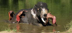 csm_Rajas_Reise_f68ef402e2