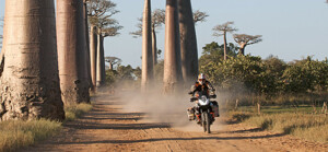 csm_Afrika-29_9de97f4454