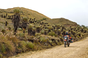 Fotoby-Pichler-05_web1