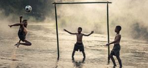 csm_Coy1_c_pixabay_3cd12175f4