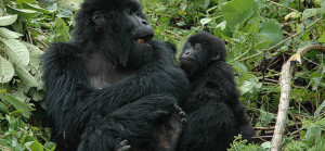 csm_Abenteuer_Ostafrika_2_ab3780df17