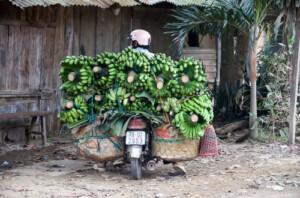 Fotoby-Liebenberger-02