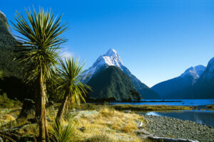 NZ-Fotoby-Bleyer-04