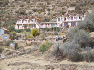 Ellenberg2_c_Ellenberg_Web