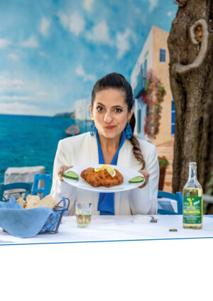 SOUVLAKI-CA.free_