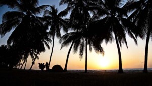 F_Joe_Pichler-Afrika-23