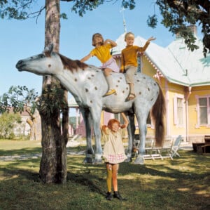 Pippi_LangstrumpfIMGPart_I_361627_4