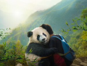 01_Moon_Panda