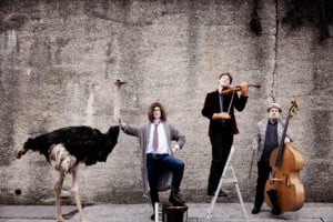 Weristivicastrauss_klein374_c_ JuliaWesely